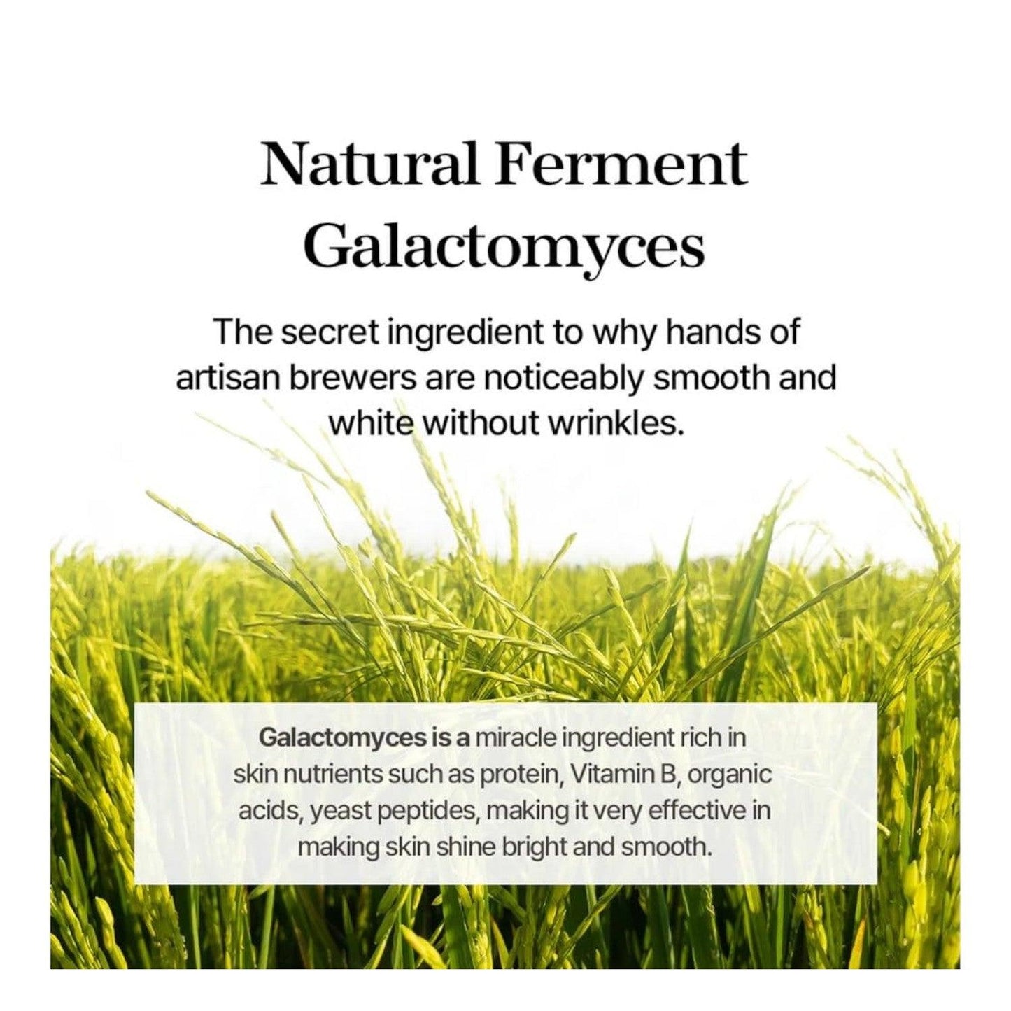 mixsoon - Essence - 12 Types Galactomyces Ferment 100 ml - El Baúl de Mamá