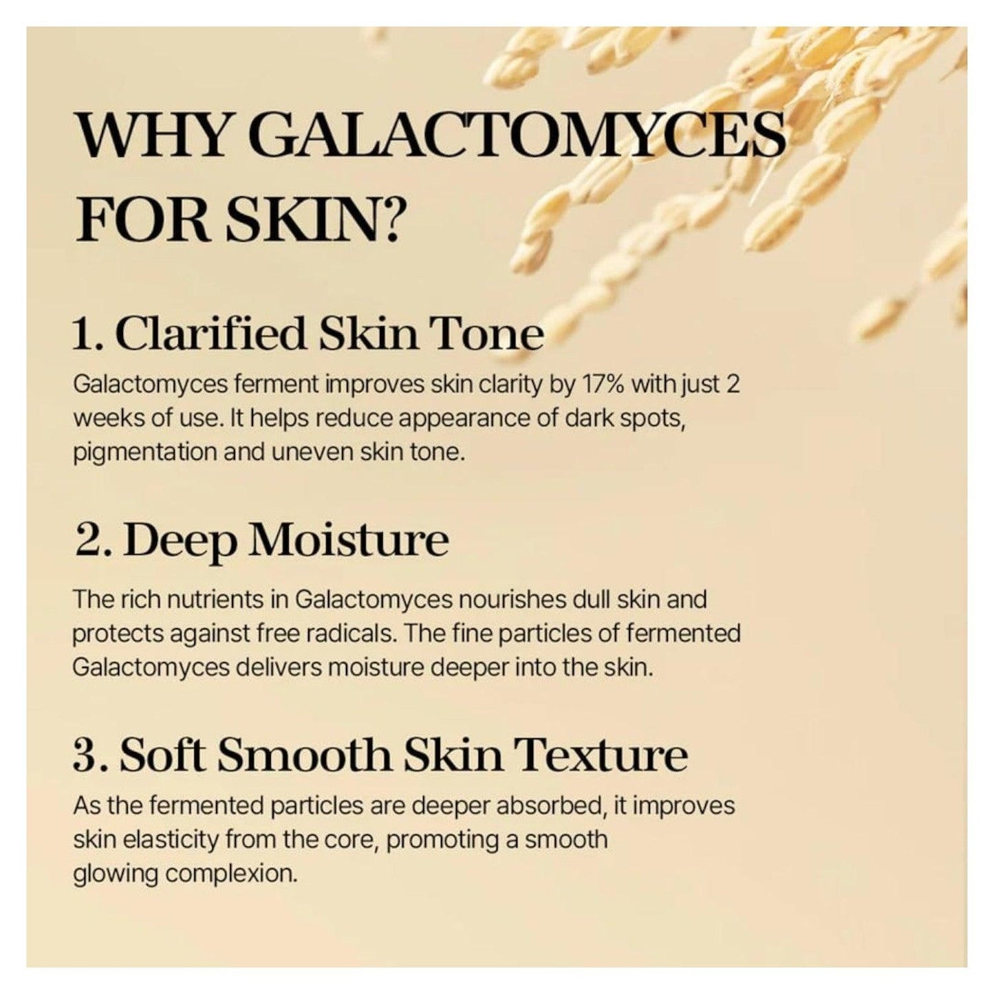 mixsoon - Essence - 12 Types Galactomyces Ferment 100 ml - El Baúl de Mamá