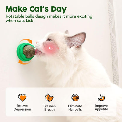 Catnip Para Gatos - Color Aleatorio