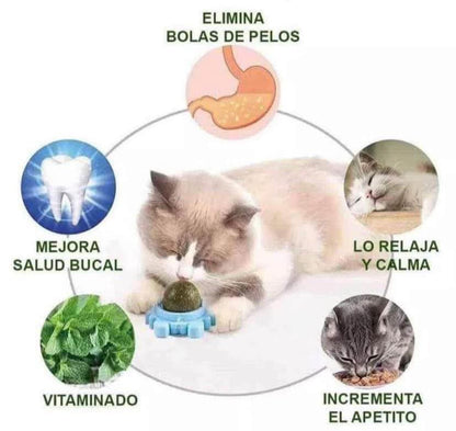 Catnip Para Gatos - Color Aleatorio